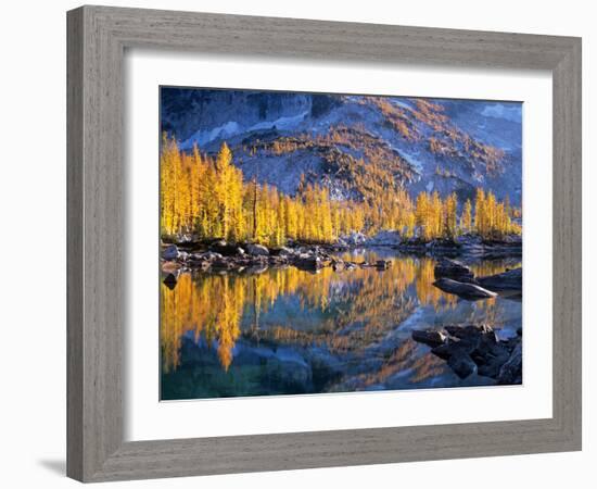 Golden Larch Trees Reflected in Leprechaun Lake, Enchantment Lakes, Alpine Lakes Wilderness-Jamie & Judy Wild-Framed Photographic Print
