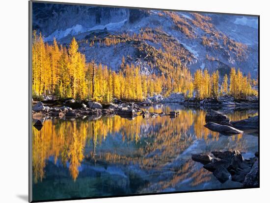 Golden Larch Trees Reflected in Leprechaun Lake, Enchantment Lakes, Alpine Lakes Wilderness-Jamie & Judy Wild-Mounted Photographic Print