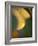 Golden Leaf-Nicole Katano-Framed Photo