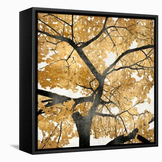 Golden Leaves-Kate Bennett-Framed Stretched Canvas