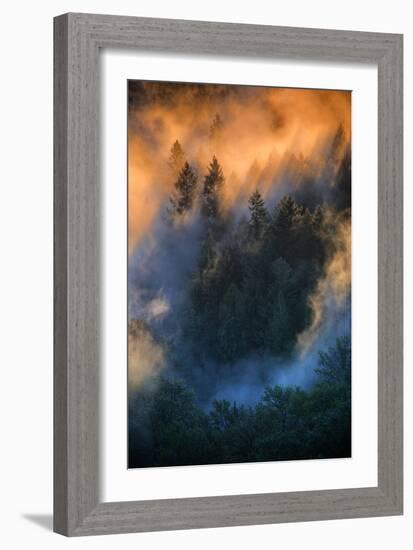 Golden Light Beams & Fog Abstract Mount Hood Wilderness Sandy Oregon Pacific Northwest-Vincent James-Framed Photographic Print