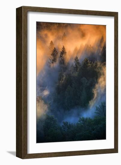 Golden Light Beams & Fog Abstract Mount Hood Wilderness Sandy Oregon Pacific Northwest-Vincent James-Framed Photographic Print