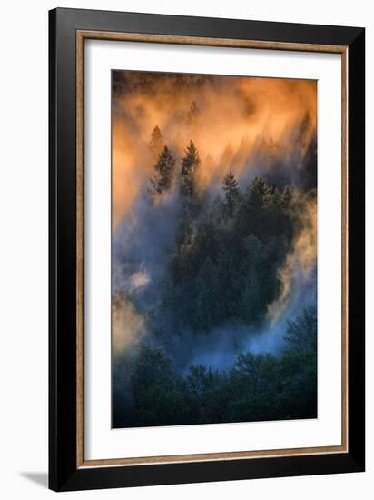 Golden Light Beams & Fog Abstract Mount Hood Wilderness Sandy Oregon Pacific Northwest-Vincent James-Framed Photographic Print