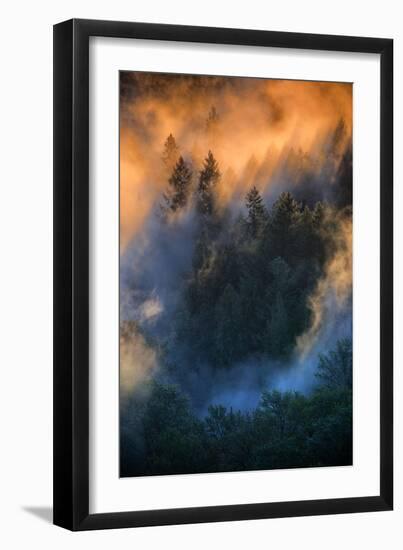 Golden Light Beams & Fog Abstract Mount Hood Wilderness Sandy Oregon Pacific Northwest-Vincent James-Framed Photographic Print