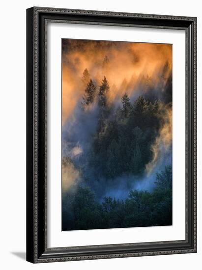 Golden Light Beams & Fog Abstract Mount Hood Wilderness Sandy Oregon Pacific Northwest-Vincent James-Framed Photographic Print