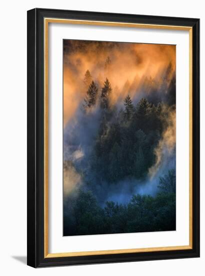 Golden Light Beams & Fog Abstract Mount Hood Wilderness Sandy Oregon Pacific Northwest-Vincent James-Framed Photographic Print