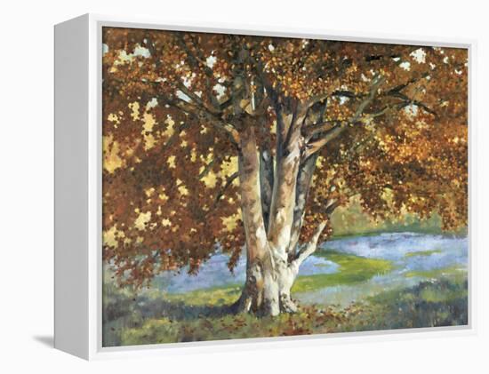 Golden Light II-Graham Reynolds-Framed Stretched Canvas