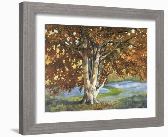 Golden Light II-Graham Reynolds-Framed Art Print