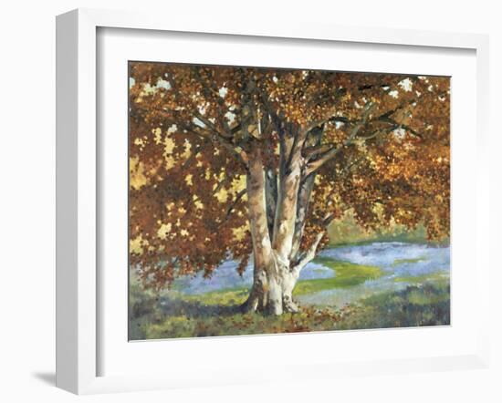 Golden Light II-Graham Reynolds-Framed Art Print