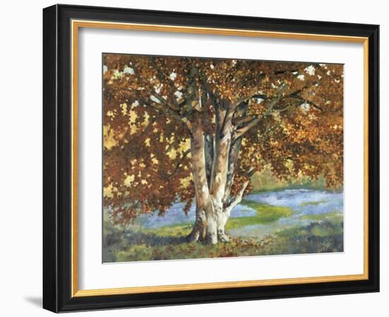 Golden Light II-Graham Reynolds-Framed Art Print