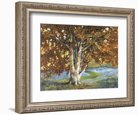 Golden Light II-Graham Reynolds-Framed Art Print