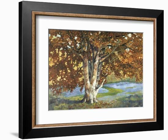 Golden Light II-Graham Reynolds-Framed Art Print