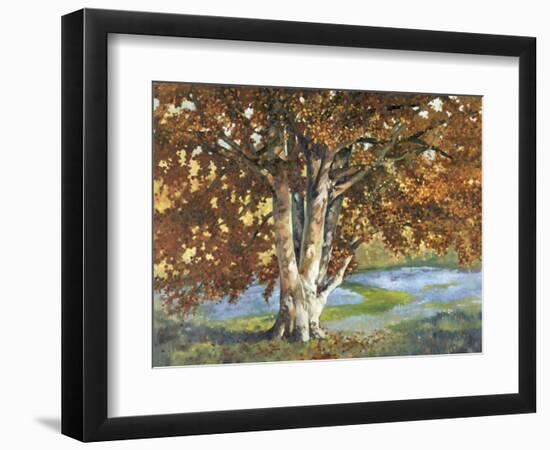 Golden Light II-Graham Reynolds-Framed Art Print