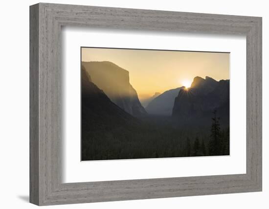 Golden Light in the Yosemite National Park, California-Marco Isler-Framed Photographic Print