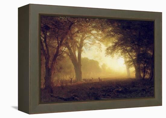 Golden Light of California-Albert Bierstadt-Framed Premier Image Canvas