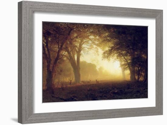 Golden Light of California-Albert Bierstadt-Framed Giclee Print