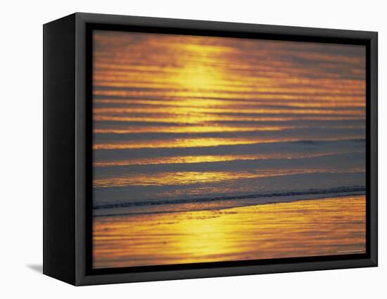 Golden Light on Ripples on the Sea Shore-David Tipling-Framed Premier Image Canvas