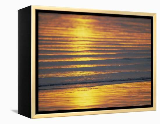 Golden Light on Ripples on the Sea Shore-David Tipling-Framed Premier Image Canvas