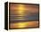 Golden Light on Ripples on the Sea Shore-David Tipling-Framed Premier Image Canvas