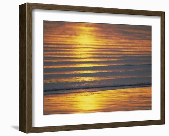 Golden Light on Ripples on the Sea Shore-David Tipling-Framed Photographic Print