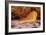 Golden Light & The Ocean Door Revisted-Vincent James-Framed Photographic Print