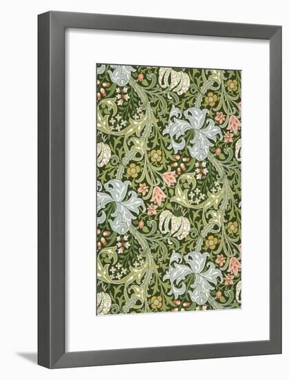 Golden Lily Wallpaper, Paper, England, Late 19th Century-William Morris-Framed Giclee Print