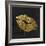 Golden Lips-Color Bakery-Framed Giclee Print