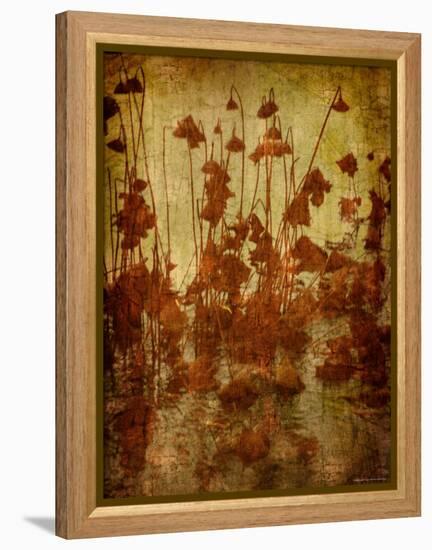 Golden Lotus-Lydia Marano-Framed Premier Image Canvas