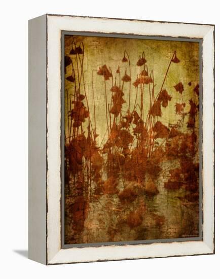 Golden Lotus-Lydia Marano-Framed Premier Image Canvas