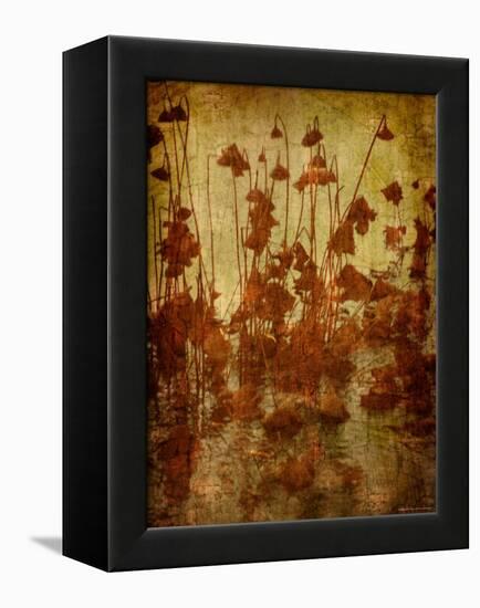 Golden Lotus-Lydia Marano-Framed Premier Image Canvas