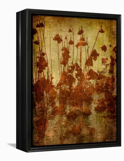 Golden Lotus-Lydia Marano-Framed Premier Image Canvas