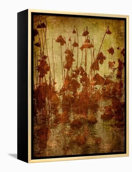 Golden Lotus-Lydia Marano-Framed Premier Image Canvas