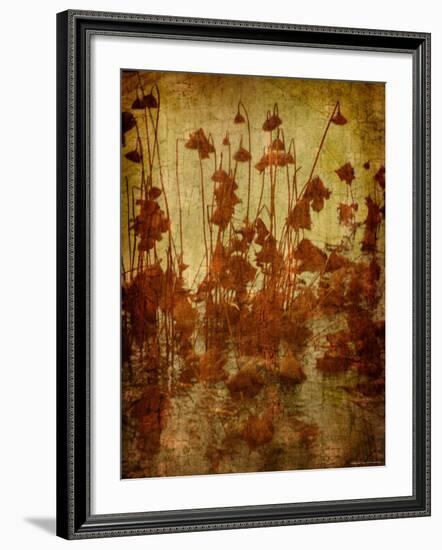 Golden Lotus-Lydia Marano-Framed Photographic Print