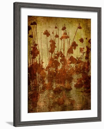 Golden Lotus-Lydia Marano-Framed Photographic Print