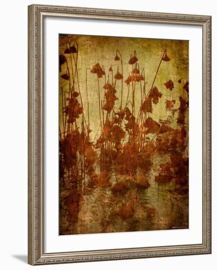 Golden Lotus-Lydia Marano-Framed Photographic Print
