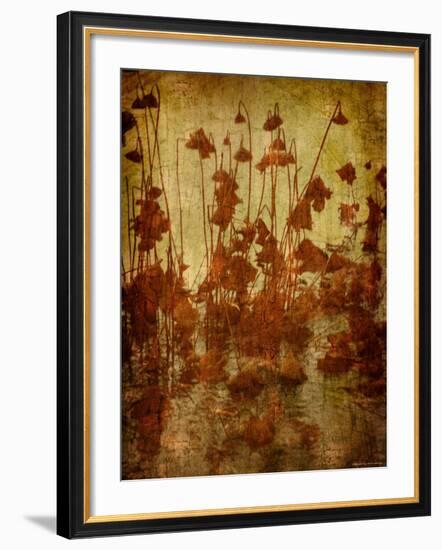 Golden Lotus-Lydia Marano-Framed Photographic Print