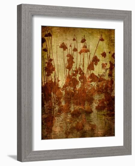 Golden Lotus-Lydia Marano-Framed Photographic Print