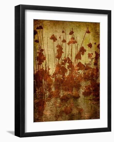 Golden Lotus-Lydia Marano-Framed Photographic Print