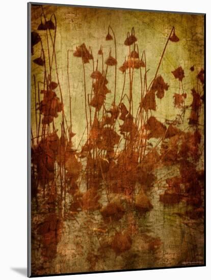 Golden Lotus-Lydia Marano-Mounted Photographic Print