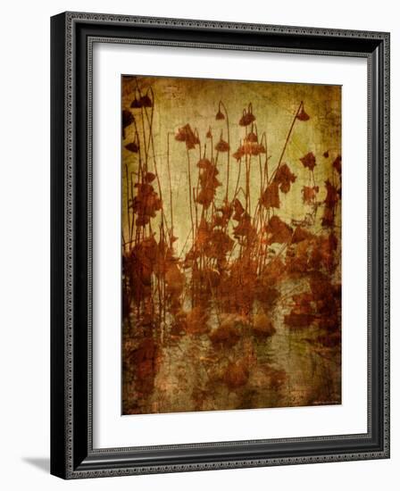 Golden Lotus-Lydia Marano-Framed Photographic Print