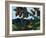 Golden Mantaled Ground Squirrel-Fred Ludekens-Framed Giclee Print