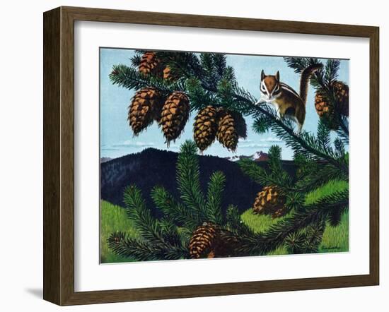 Golden Mantaled Ground Squirrel-Fred Ludekens-Framed Giclee Print