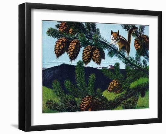 Golden Mantaled Ground Squirrel-Fred Ludekens-Framed Giclee Print