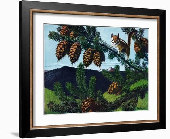 Golden Mantaled Ground Squirrel-Fred Ludekens-Framed Giclee Print