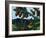 Golden Mantaled Ground Squirrel-Fred Ludekens-Framed Giclee Print