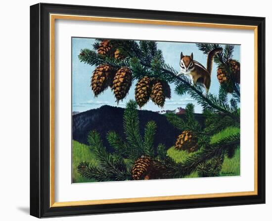 Golden Mantaled Ground Squirrel-Fred Ludekens-Framed Giclee Print