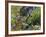 Golden-mantled Ground Squirrel Feeding-Bob Gibbons-Framed Photographic Print