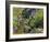 Golden-mantled Ground Squirrel Feeding-Bob Gibbons-Framed Photographic Print