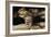 Golden-Mantled Ground Squirrel (Spermophilus Lateralis) on a Log-George D Lepp-Framed Photographic Print