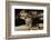 Golden-Mantled Ground Squirrel (Spermophilus Lateralis) on a Log-George D Lepp-Framed Photographic Print